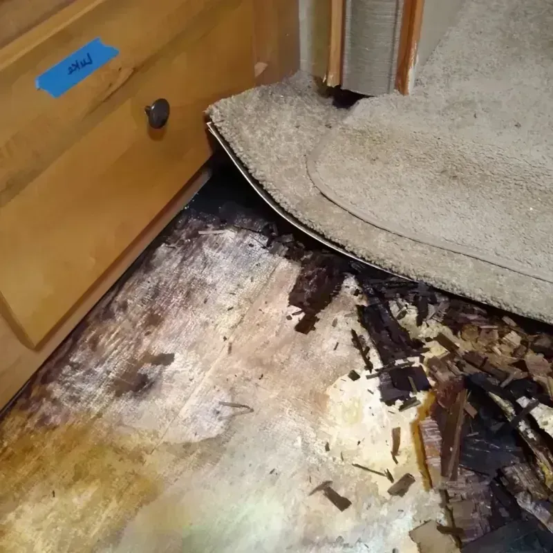 Wood Floor Water Damage in Ekalaka, MT